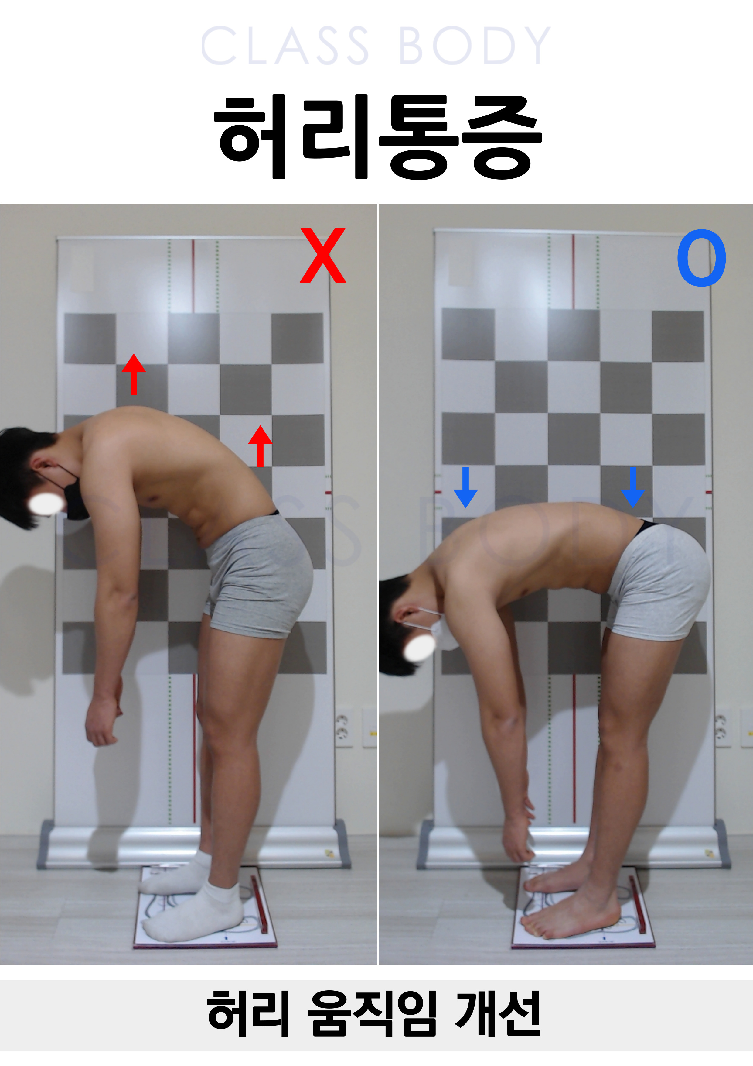 허리 움직임 개선